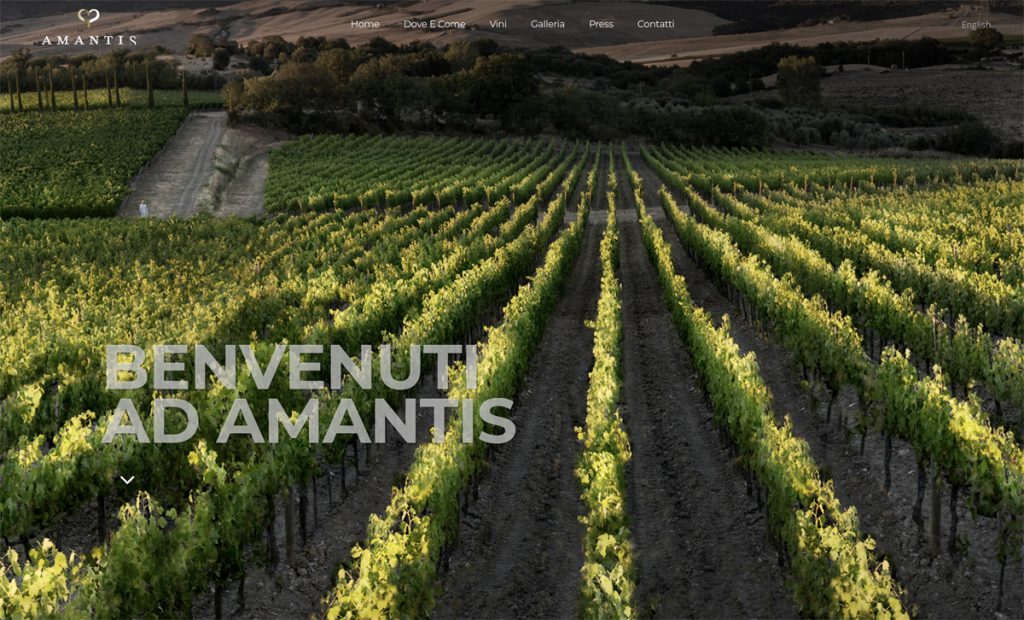 Amantis winery website design