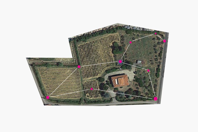 Corte di Leo Brand Identity, Naming and Packaging System Leo constellation concept derived from the shape of a Tuscan vineyard